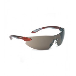 Gafas Protective Spectacle Cristal Oscuro